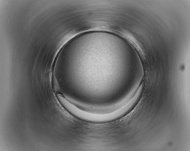 X0000098181284200805081016