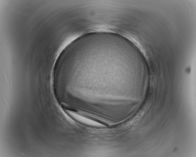 X0000098181285200805081016