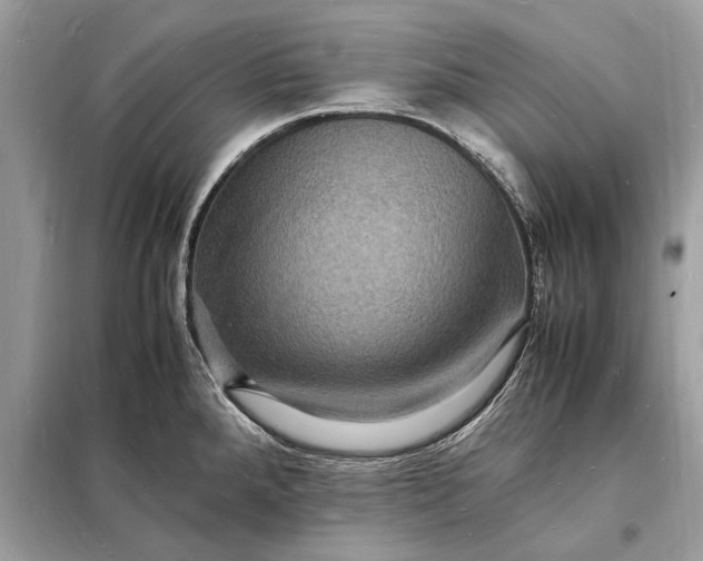 X0000098181288200805081016