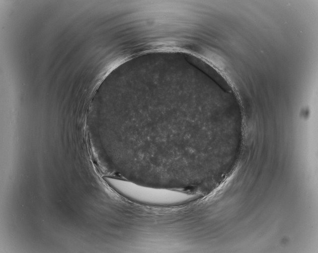 X0000098181289200805081016