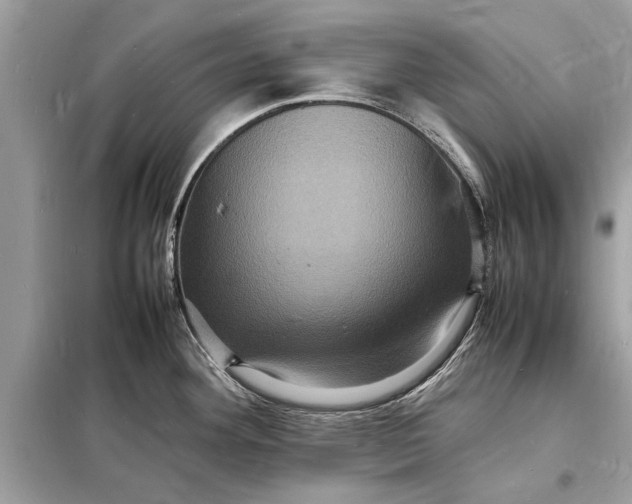 X0000098181292200805081016