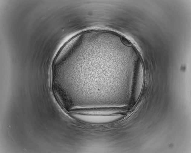 X0000098181295200805081016