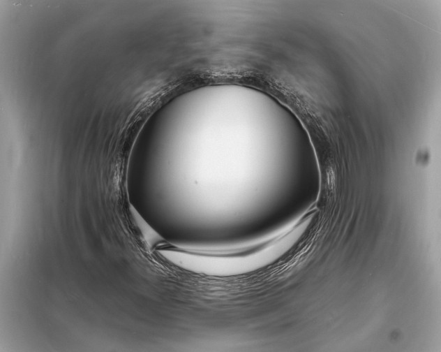 X0000098181300200805081015