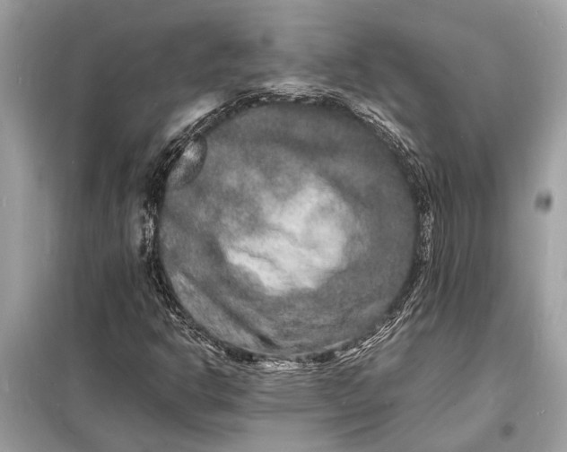 X0000098181302200805081015