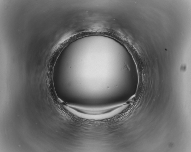 X0000098181304200805081015