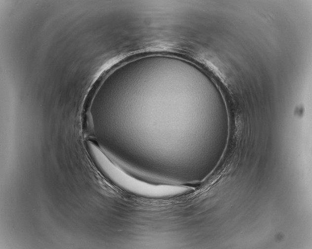 X0000098181308200805081015