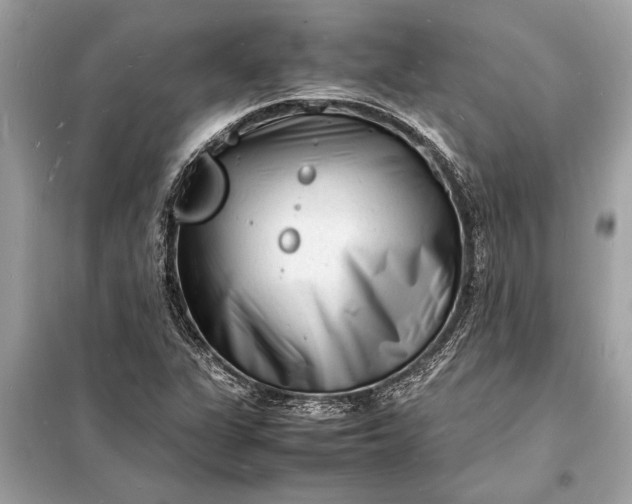 X0000098181311200805081015