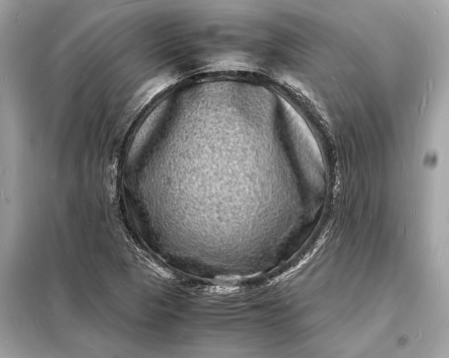 X0000098181313200805081015