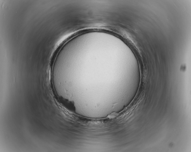 X0000098181320200805081015