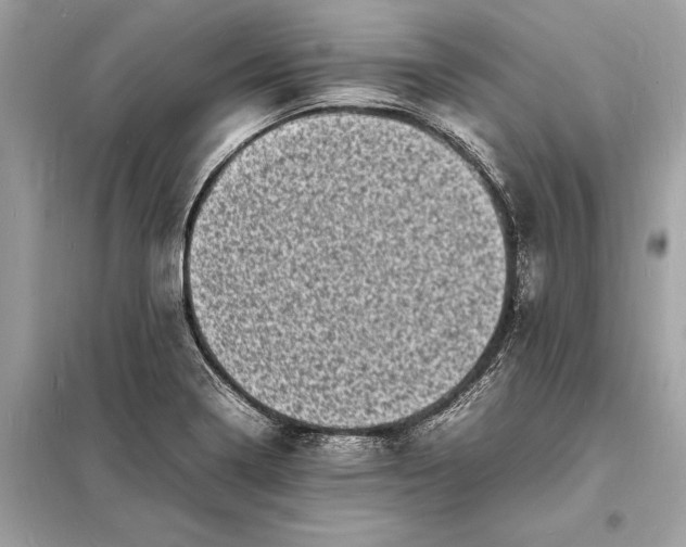 X0000098181322200805081015