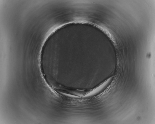 X0000098181327200805081015