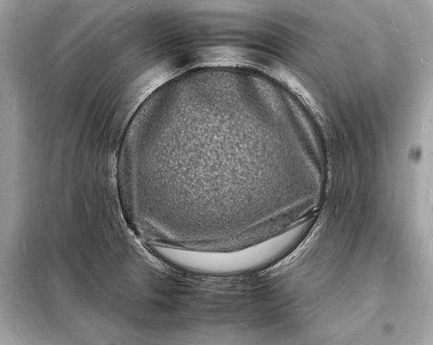 X0000098181329200805081015