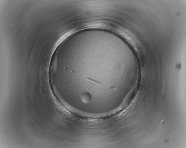 X0000098181330200805081015