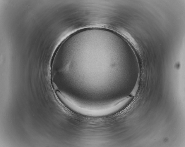 X0000098181332200805081015