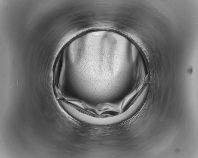 X0000098181335200805081015