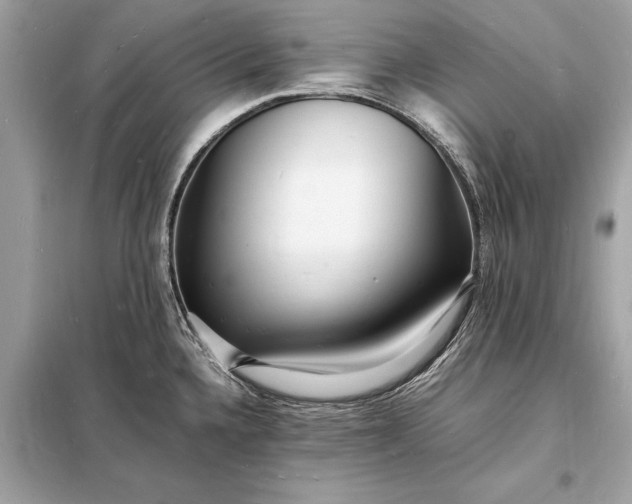 X0000098181336200805081015