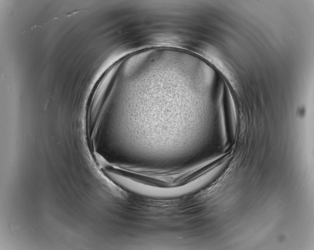 X0000098181339200805081015