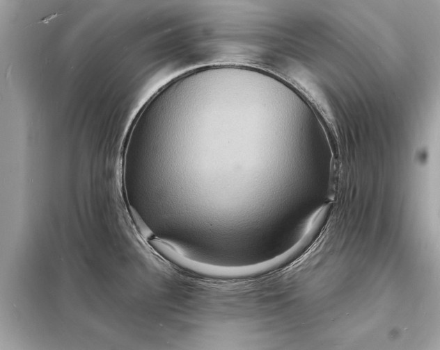 X0000098181340200805081015