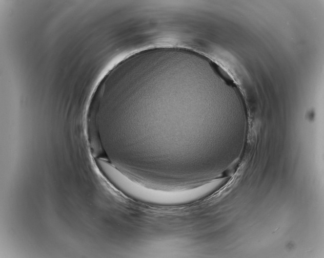 X0000098181342200805081016