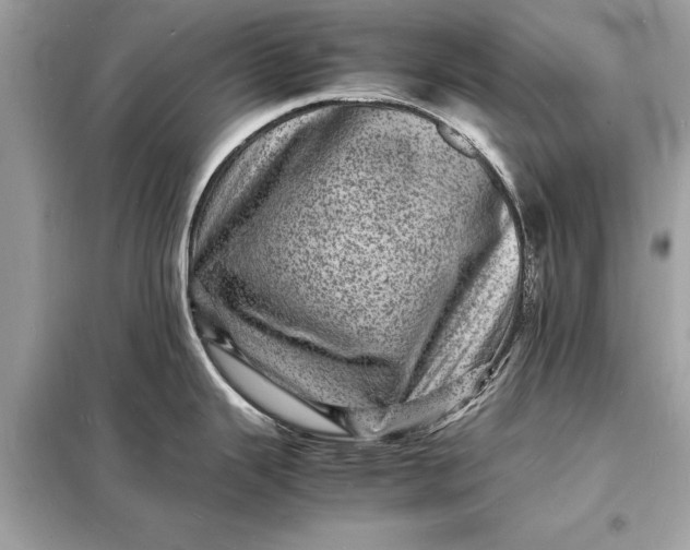 X0000098181343200805081016