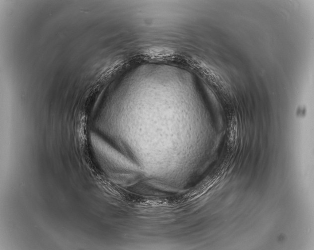 X0000098181346200805081015