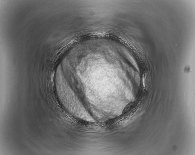 X0000098181347200805081015