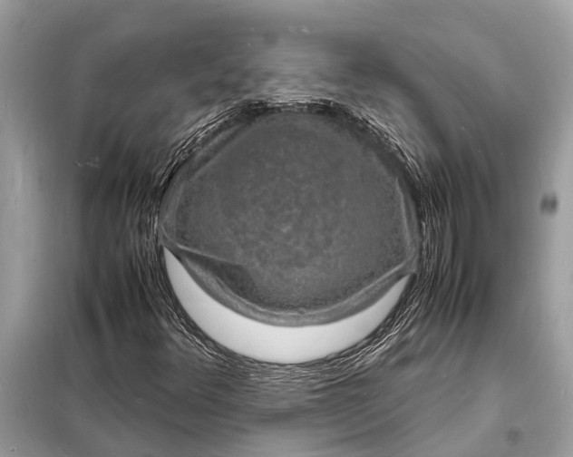 X0000098181348200805081015