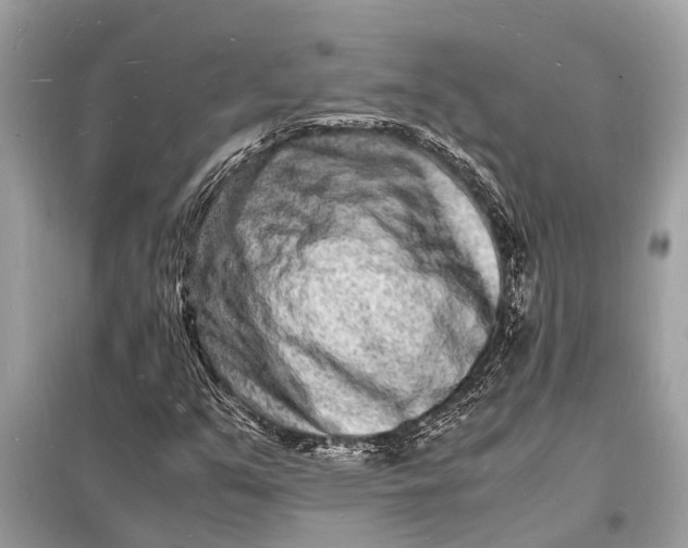 X0000098181351200805081015