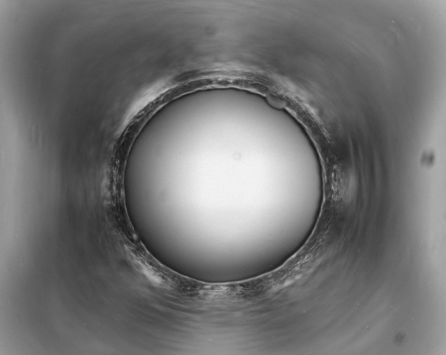 X0000098181352200805081015