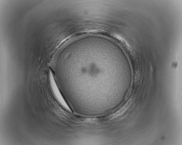 X0000098181353200805081015