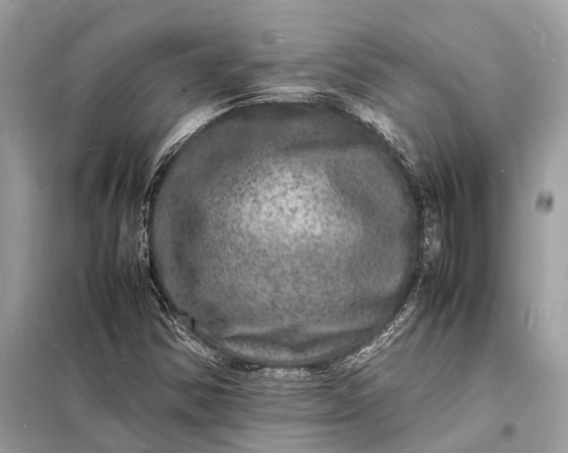 X0000098181354200805081015