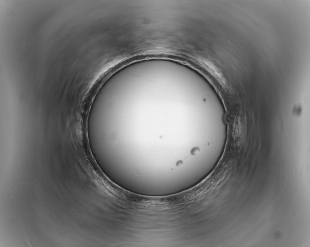 X0000098181356200805081015