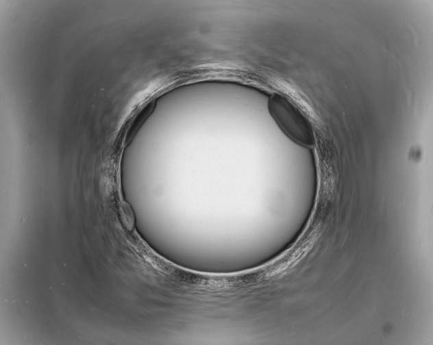 X0000098181357200805081015