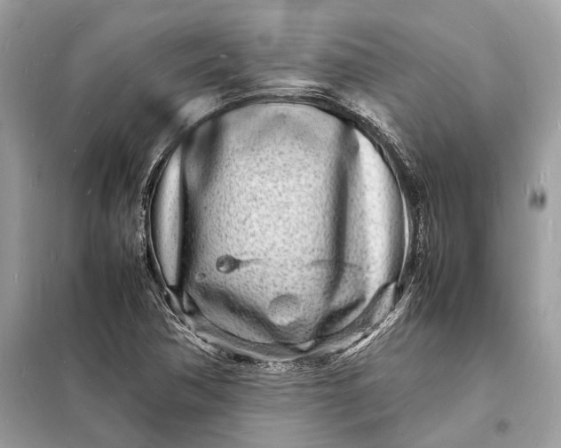 X0000098181362200805081015