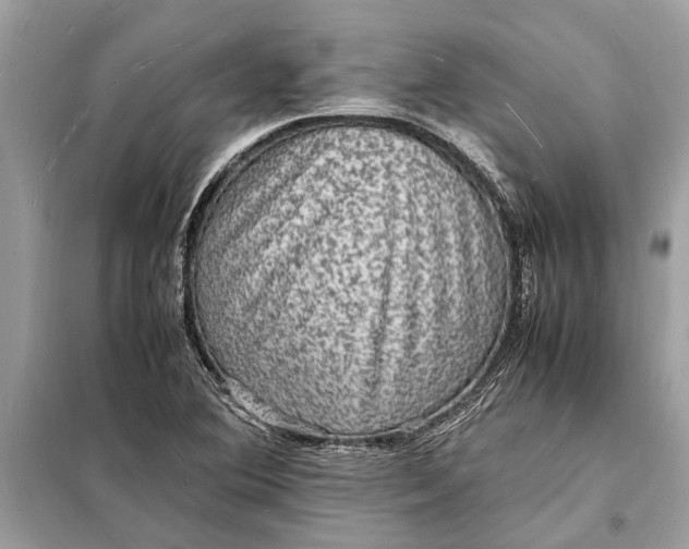 X0000098181364200805081015