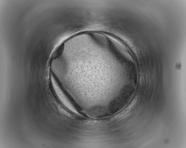 X0000098181366200805081015