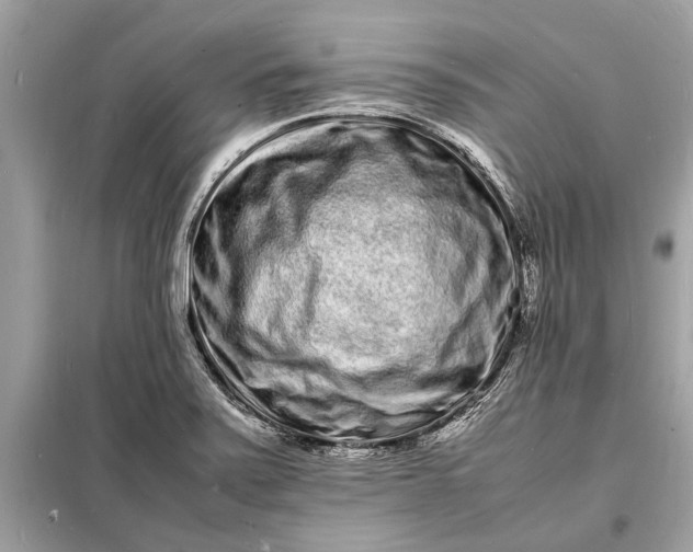 X0000098181371200805081014