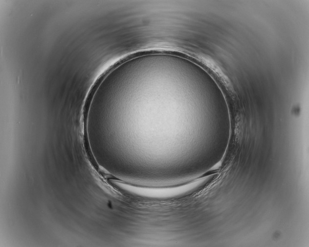 X0000098181372200805081014