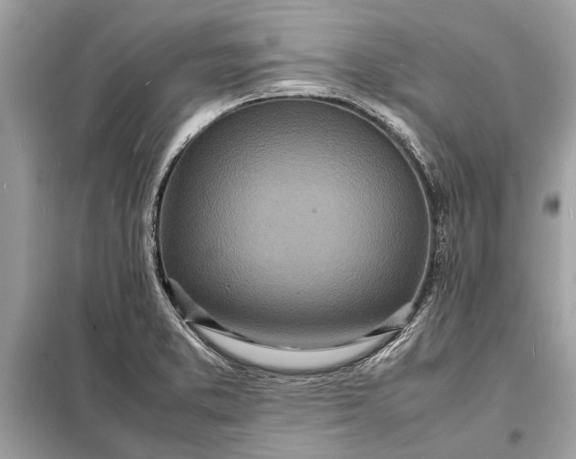 X0000098181373200805081014