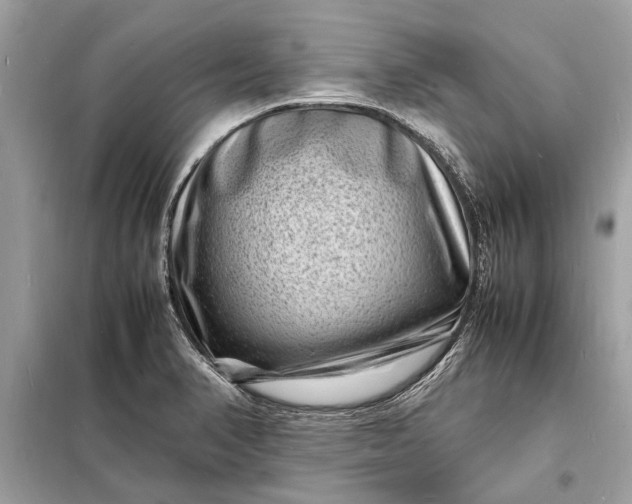 X0000098181374200805081014