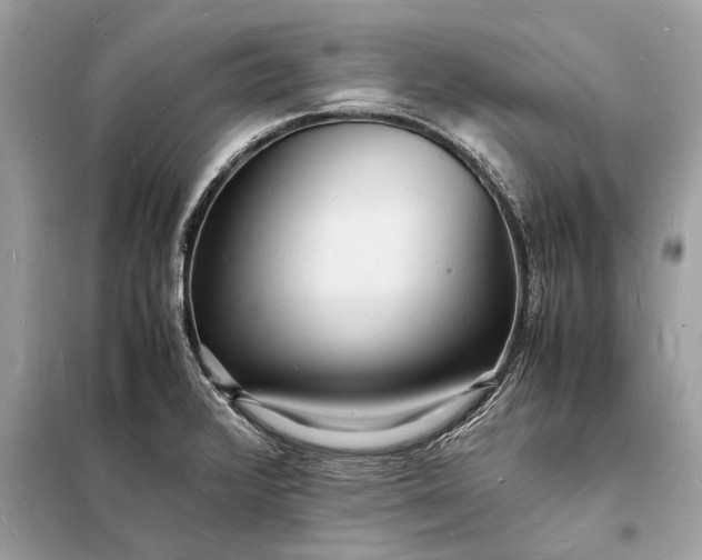 X0000098181376200805081014