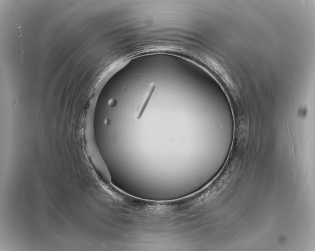 X0000098181377200805081014