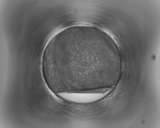 X0000098181379200805081014