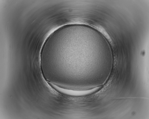 X0000098181380200805081014