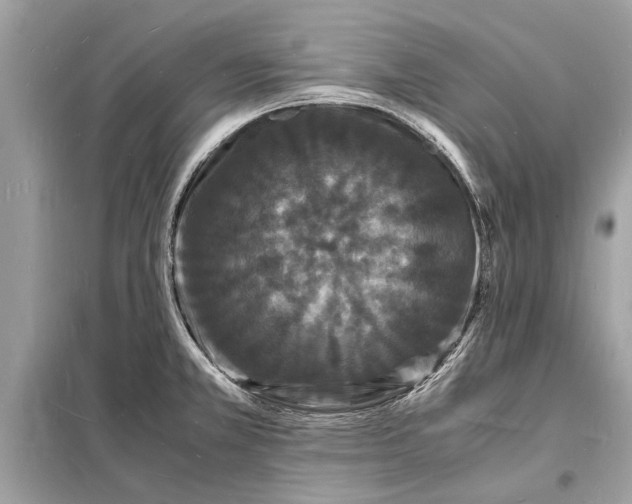 X0000098181381200805081014