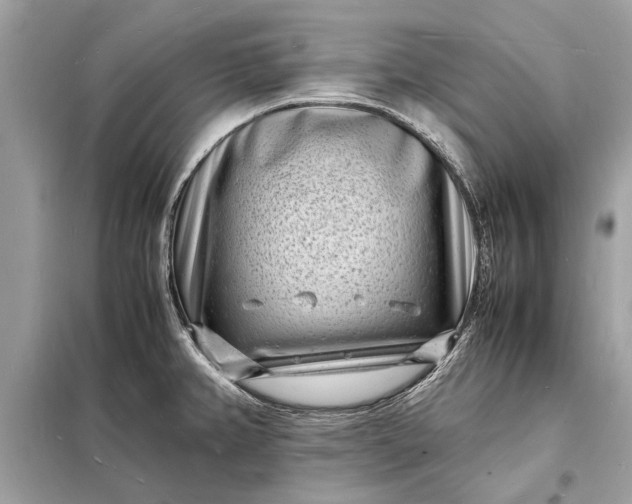 X0000098181382200805081014