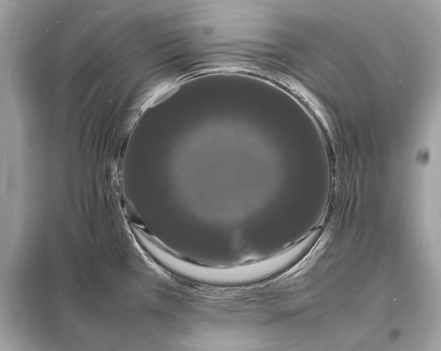 X0000098181385200805081014