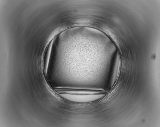 X0000098181386200805081014