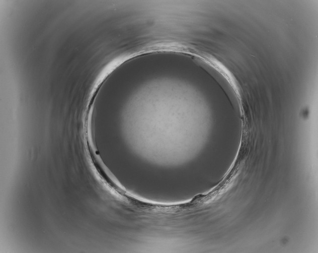 X0000098181389200805081014