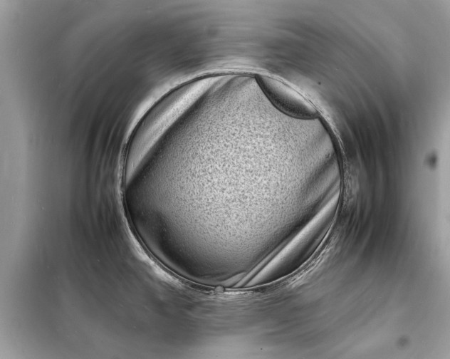 X0000098181390200805081014